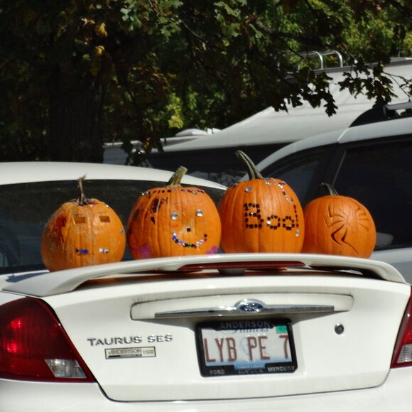 SALE- 50% off everything until October 31, 2025 - Picture 1 of 1
